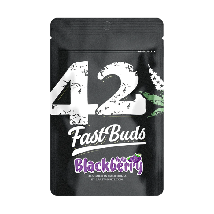 Blackberry | Autoflowering