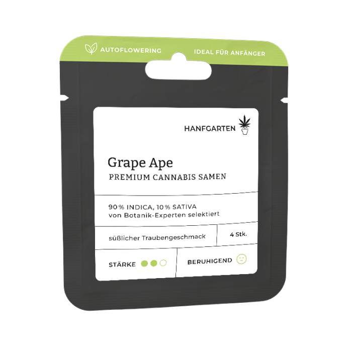 Grape Ape | Autoflowering