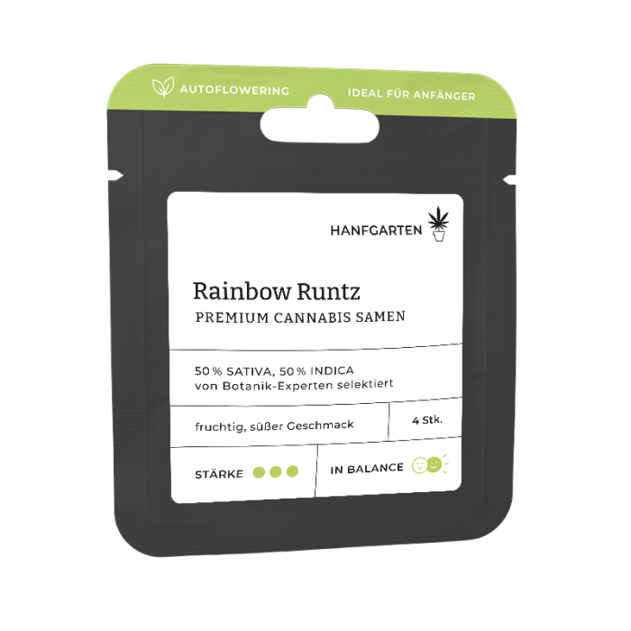 Rainbow Runtz | Autoflowering