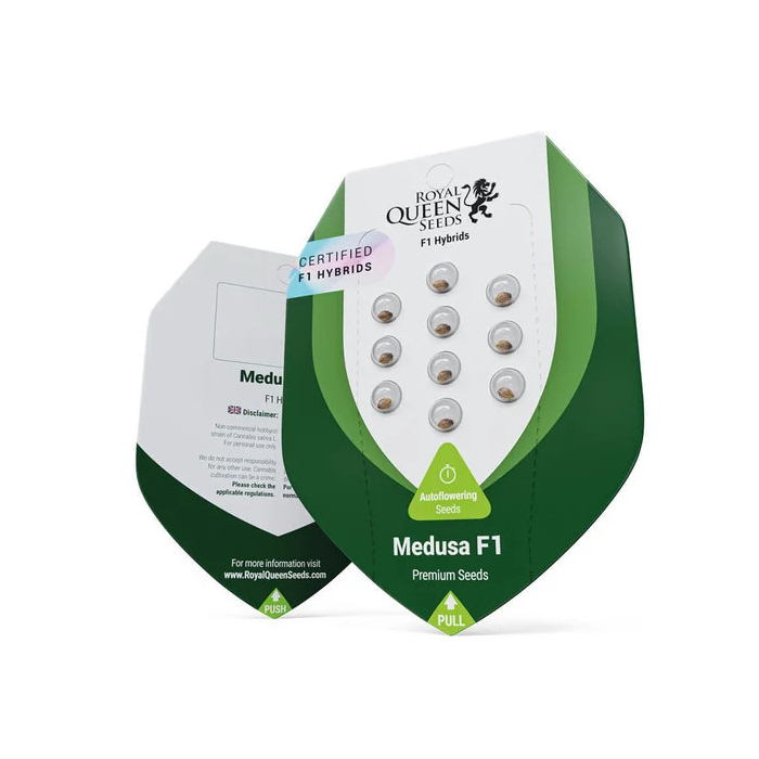 Medusa F1 | Autoflowering