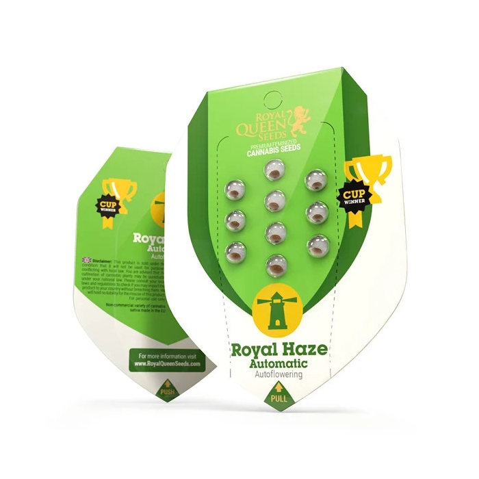 Royal Haze | Autoflowering