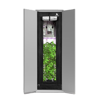 Growbox Komplettset Readymade in einem Schrank