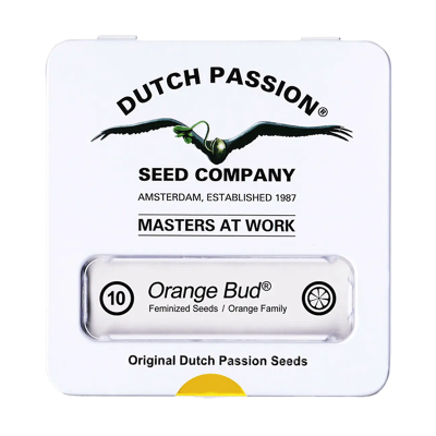 Verpackung der Orange Bud Hanfsamen