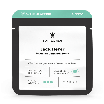 Jack Herer Cannabissamen 