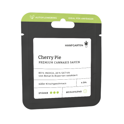 Cherry Pie | Autoflowering Vorderseite