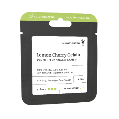 Lemon Cherry Gelato | Autoflowering Vorderansicht