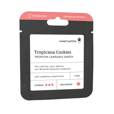 Tropicana Cookies | Feminisiert Vorderseite 