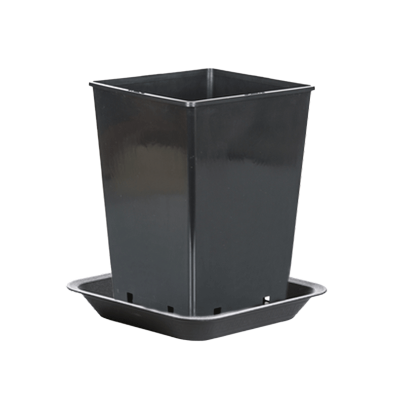 Pflanztopf mit Untersetzer