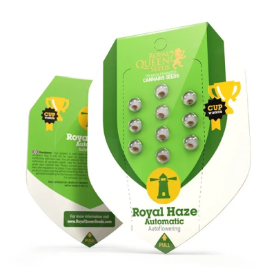 Royal Haze | Autoflowering