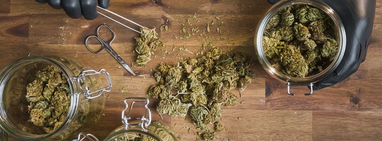 Cannabis richtig lagern: Tipps für maximale Haltbarkeit & Qualität