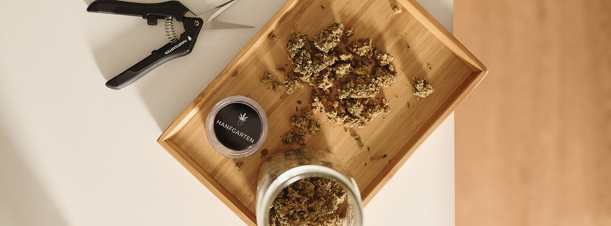 Grinder richtig nutzen: Leitfaden zur Anwendung & Reinigung