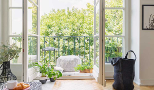 Sonne statt Strom: So klappt der Cannabisanbau am Balkon!