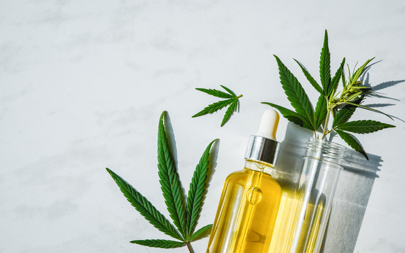 THC-Öl (Cannabisöl) selber herstellen