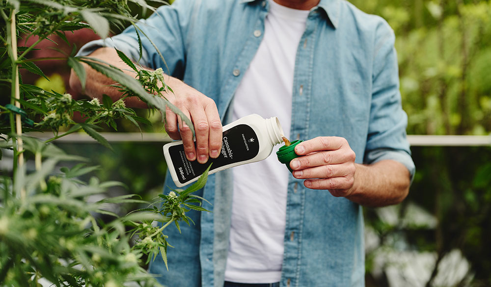 Was ist der Chemotyp?