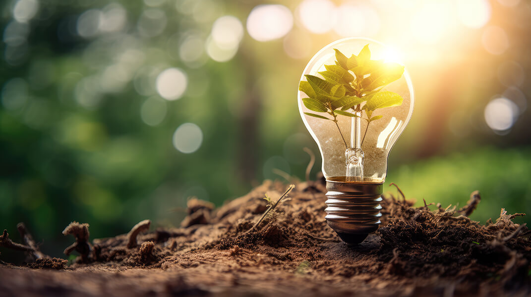 Umweltfreundliche Entsorgung